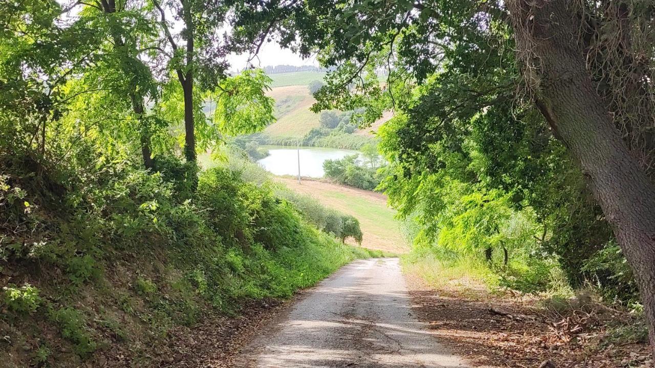 Morro dʼOro B&B I Tre Ulivi מראה חיצוני תמונה
