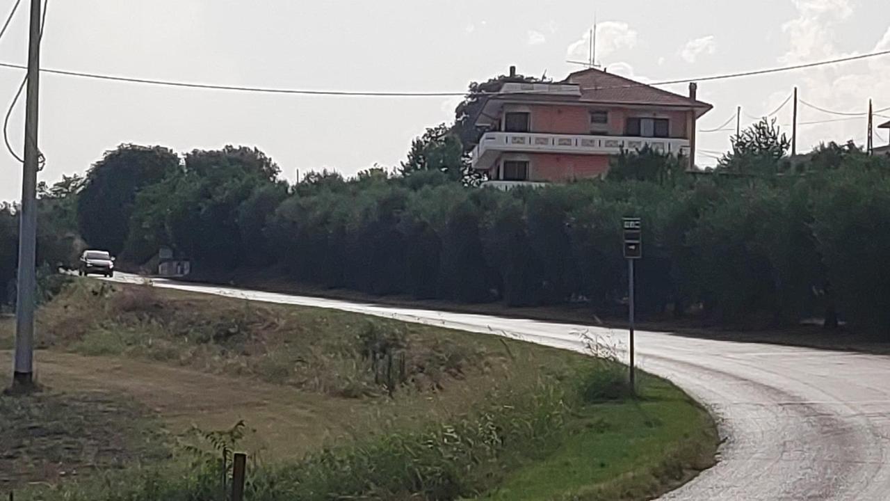 Morro dʼOro B&B I Tre Ulivi מראה חיצוני תמונה