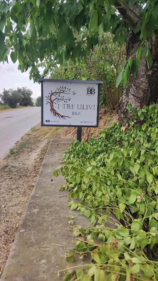 Morro dʼOro B&B I Tre Ulivi מראה חיצוני תמונה