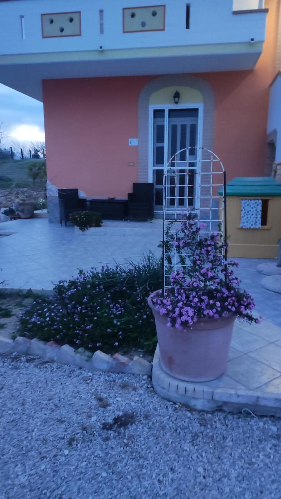 Morro dʼOro B&B I Tre Ulivi מראה חיצוני תמונה