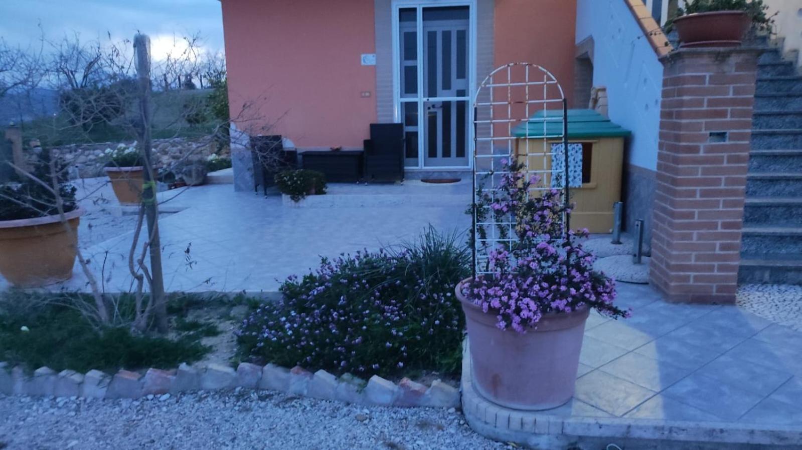 Morro dʼOro B&B I Tre Ulivi מראה חיצוני תמונה