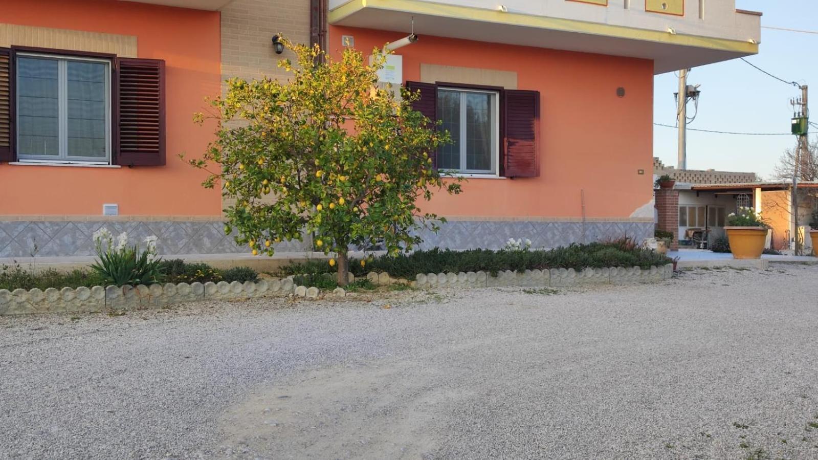 Morro dʼOro B&B I Tre Ulivi מראה חיצוני תמונה