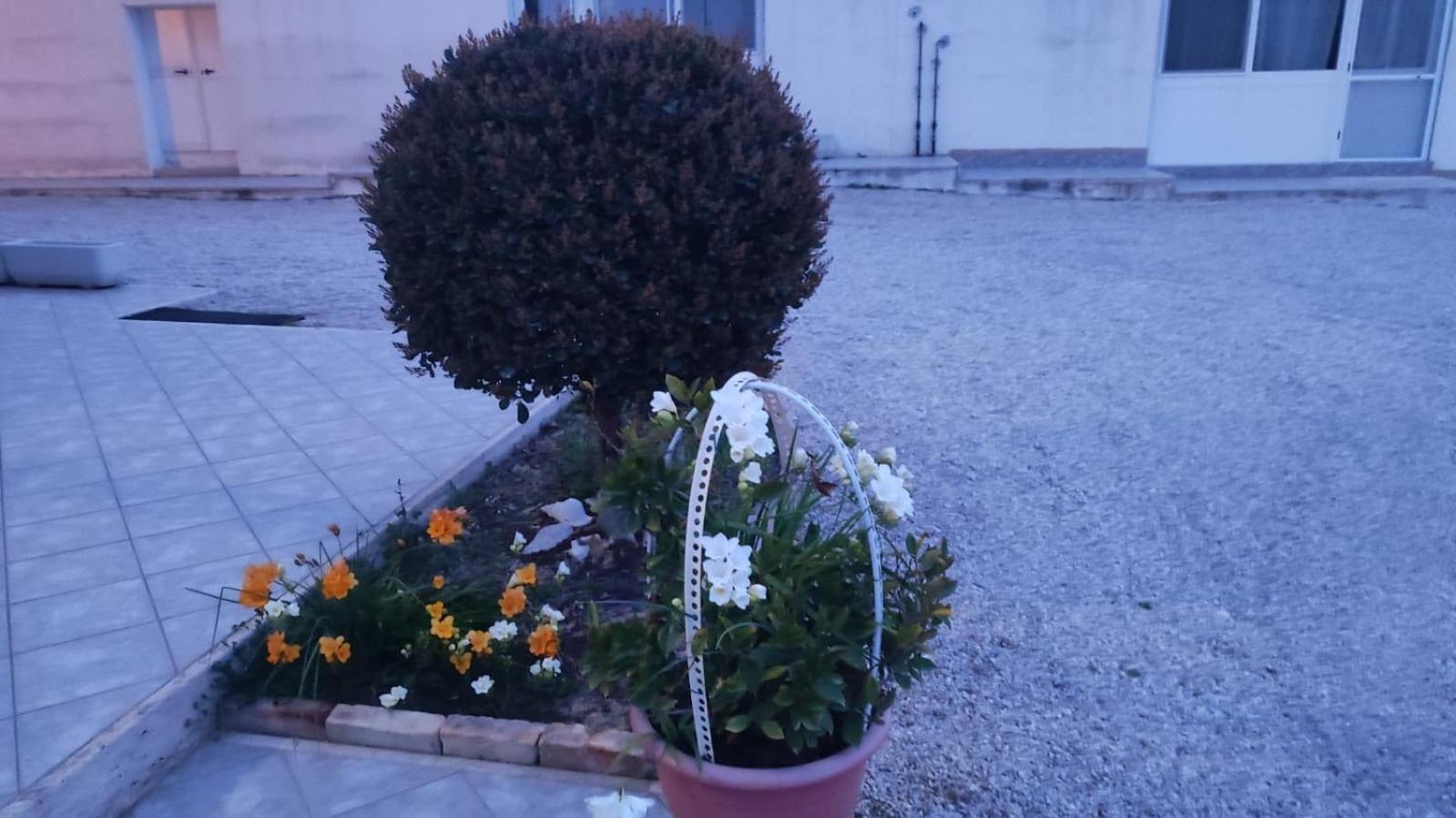 Morro dʼOro B&B I Tre Ulivi מראה חיצוני תמונה